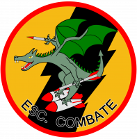 Aula Virtual Combate